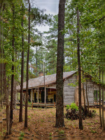 Traditional Log Home