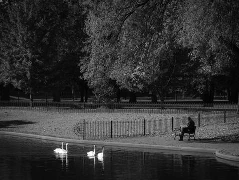 Lafayette square park