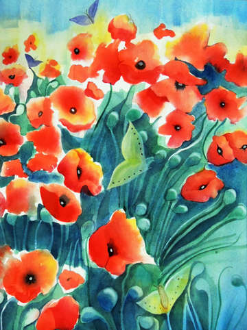 Poppies 4