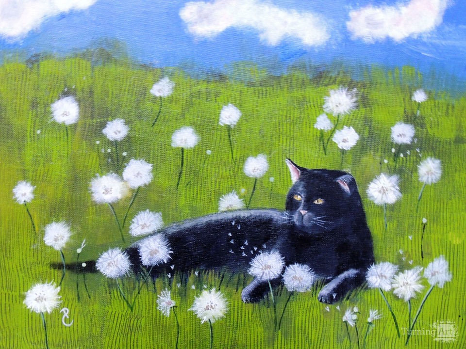 Summer cat