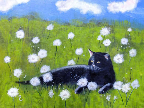 Summer cat