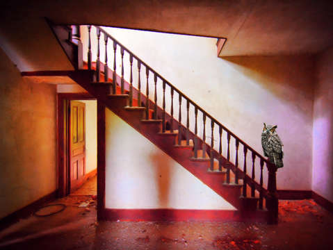 Visitor