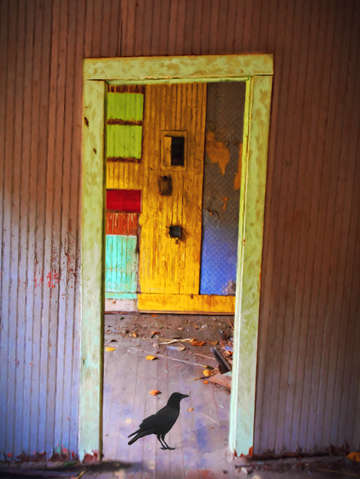 Picasso crow