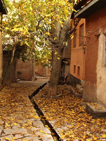 Village fall
