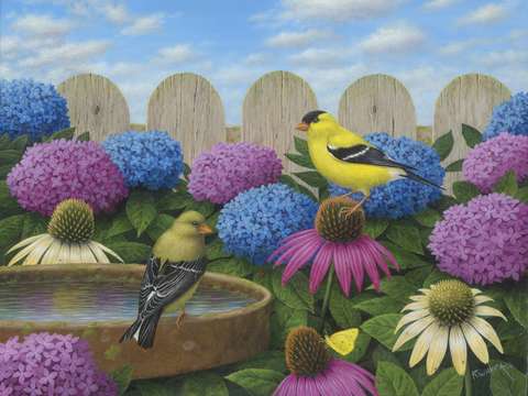 Goldfinches