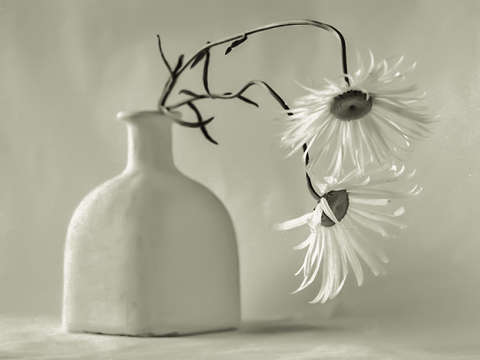 Still life 6