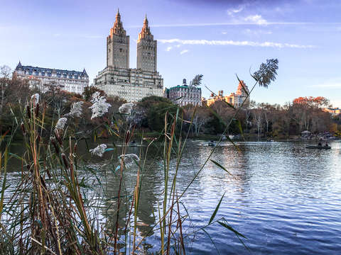 Central park new york