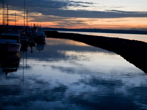 Harbor reflections