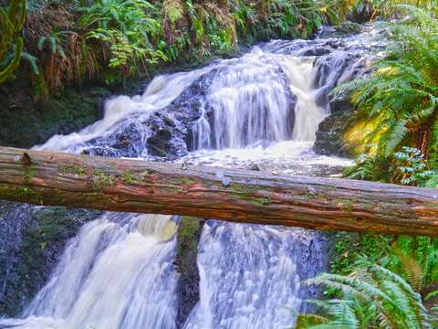 Ludlow falls