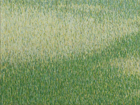 Grassland 31 1