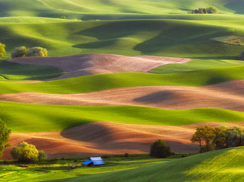 Palouse stripes
