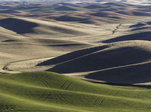 Palouse valley 2