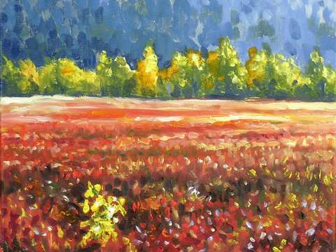 Blueberry field near winter