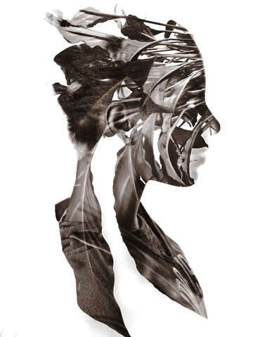 Phoenix 3