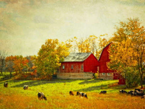 Red barn sunday