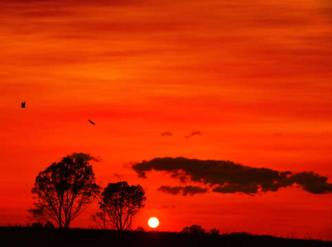 Virginia sunset