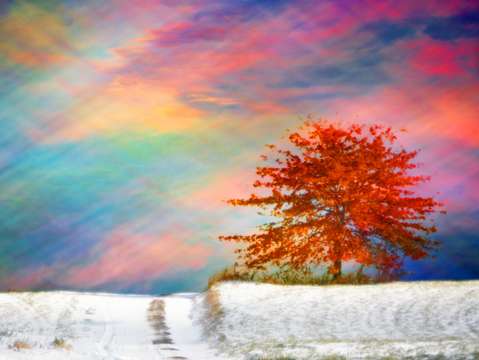 Autumn snow