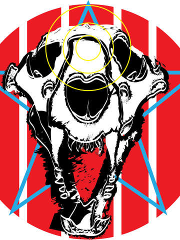 Lion skull americana