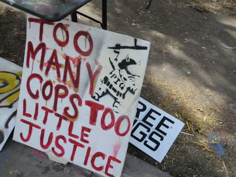 Too many cops