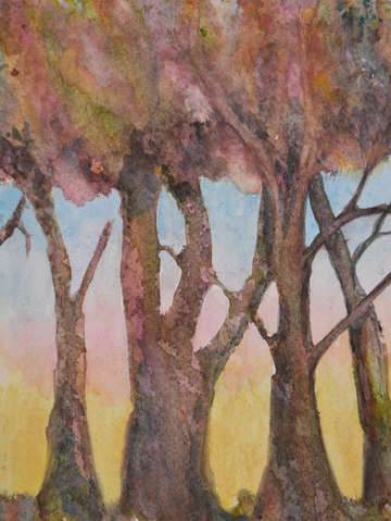 Between the trees