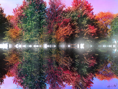 Tree waves 2