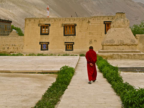 Tabo Monk