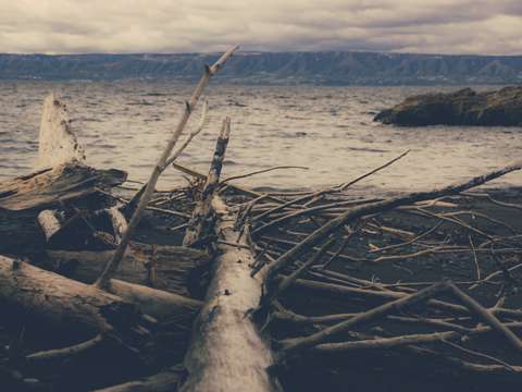 Alaskan beach