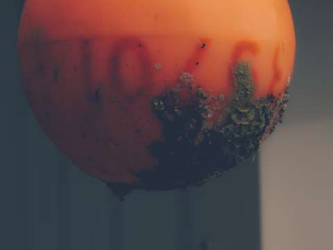 Barnacle Buoy
