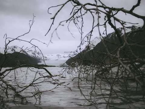 Entanglement 2