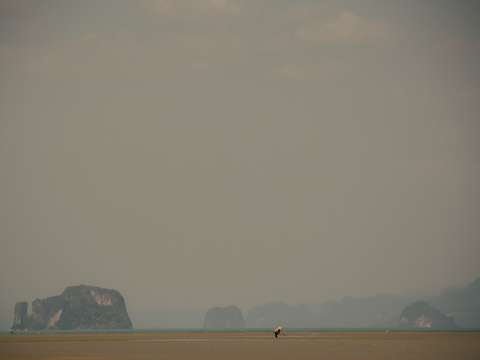 Low tide 4