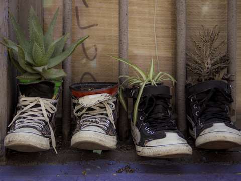 Sneaker planters