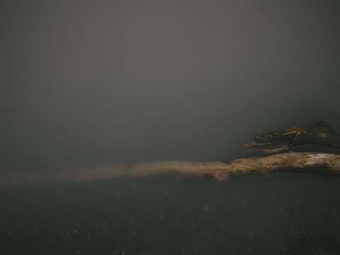 Submerged