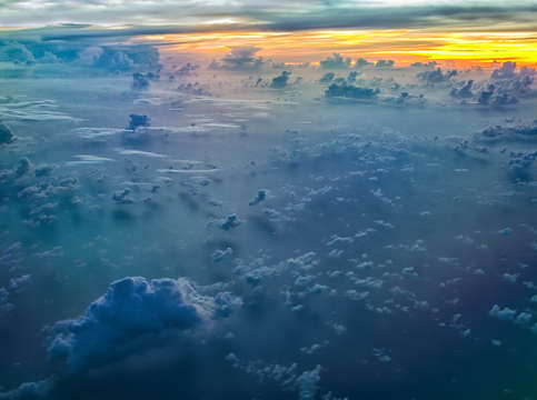 Heavens garden