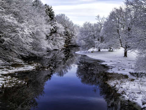Winter wonderland 4