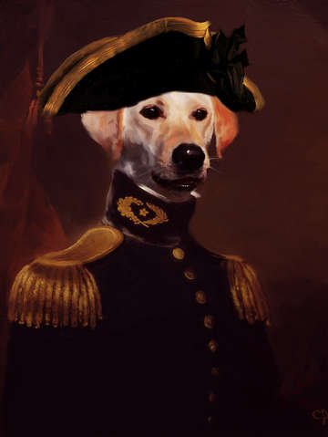 First officer labrador