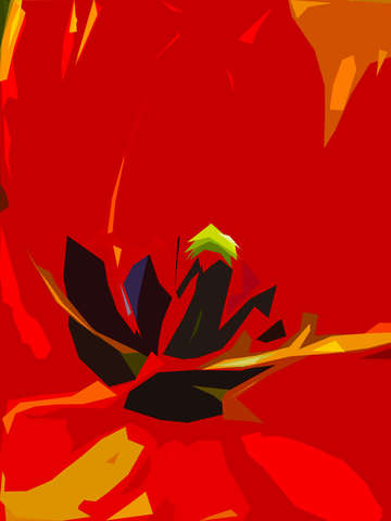 Tulip 5