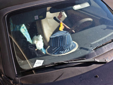Fedora on a dashboard