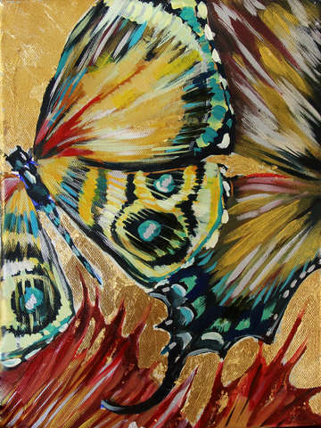 Butterfly garden