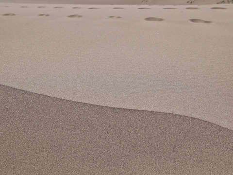 Sand dune peak