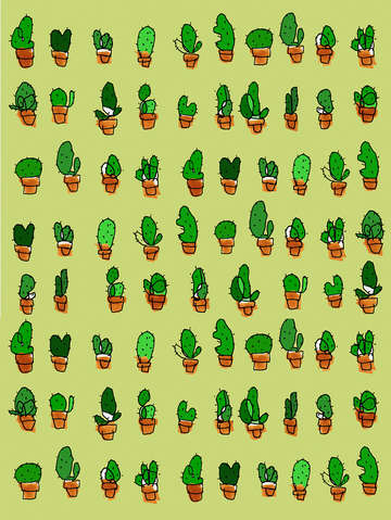 Cactus crew