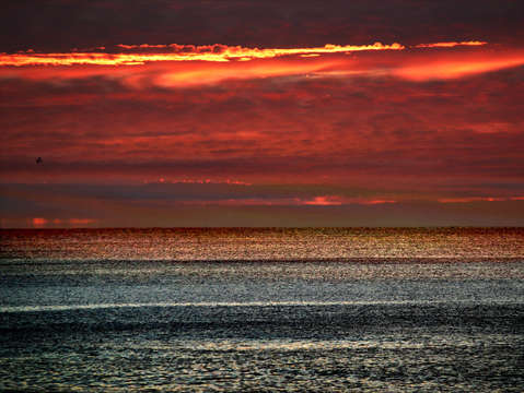 Orange beach flat seas
