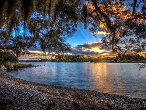 Bon secour alabama sunrise under tree