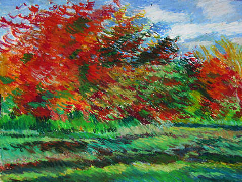 Autumn trees 7