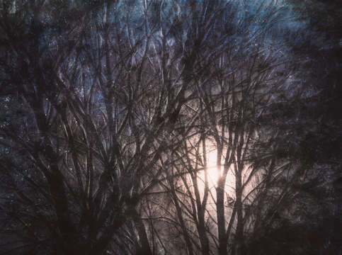 Full moon rising 2