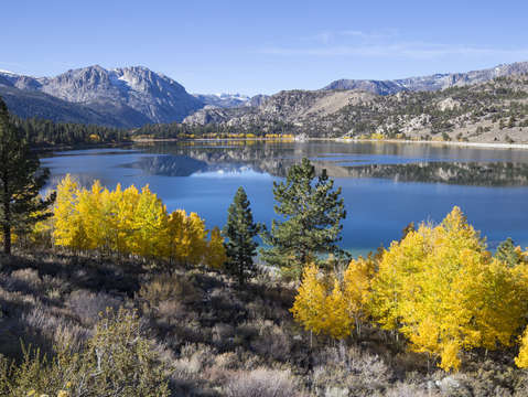 June lake