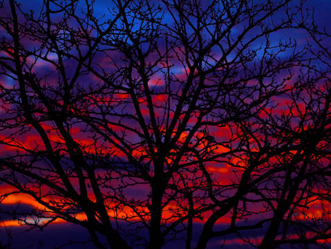 Silhouette 1