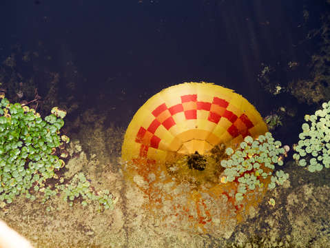Balloon reflections