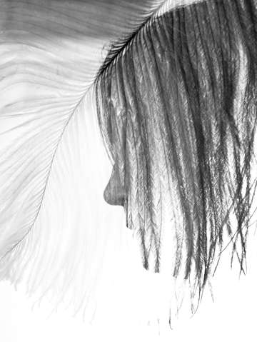 Feather 3