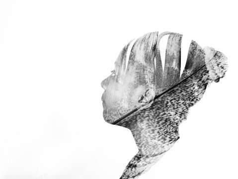 Feather 5