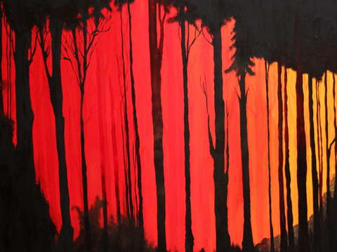Red woods